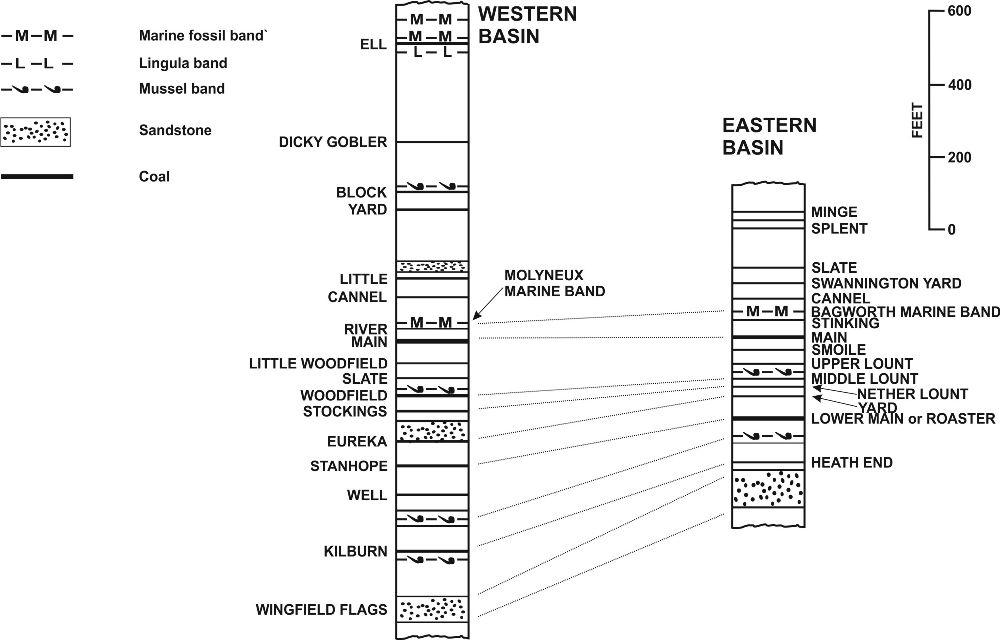 Fig 1 General Section of the Productive Measures