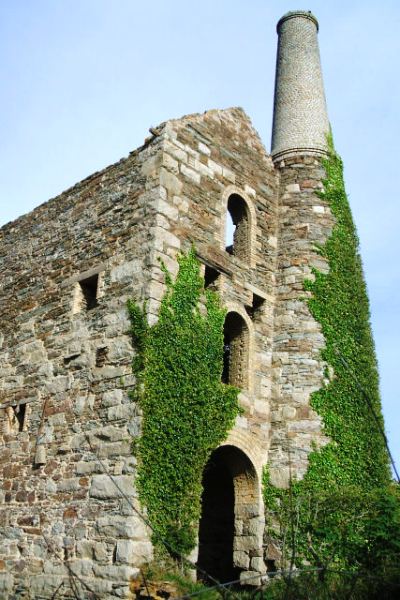 Wheal Friendly