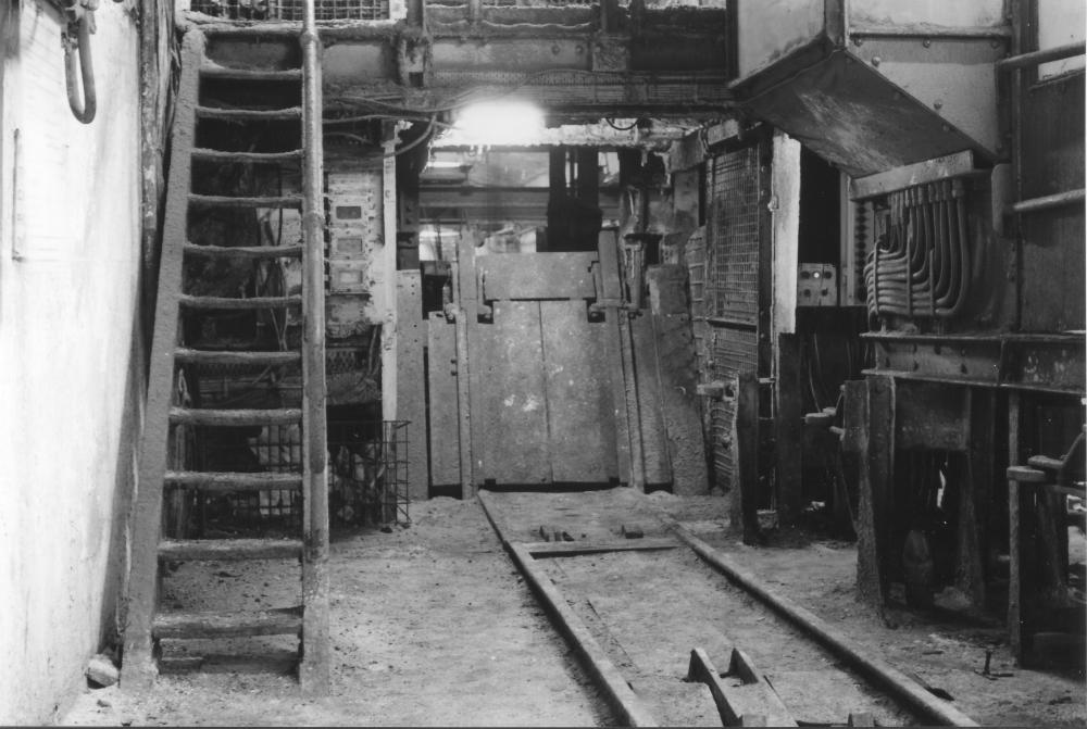 A closer look at the dropleaf at No3 pit bottom. Northern Mine