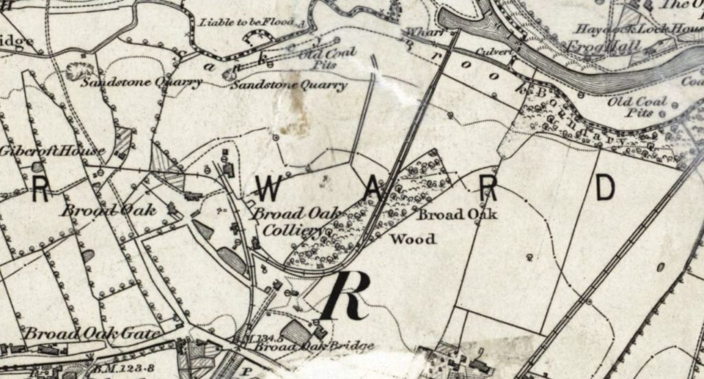Broad Oak Colliery ????1859 Northern Mine Research Society